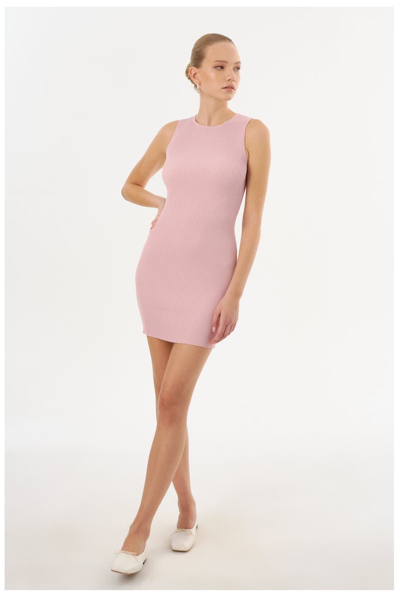 SHAY | Rib Knit Mini Dress, Alternate, color, Rose