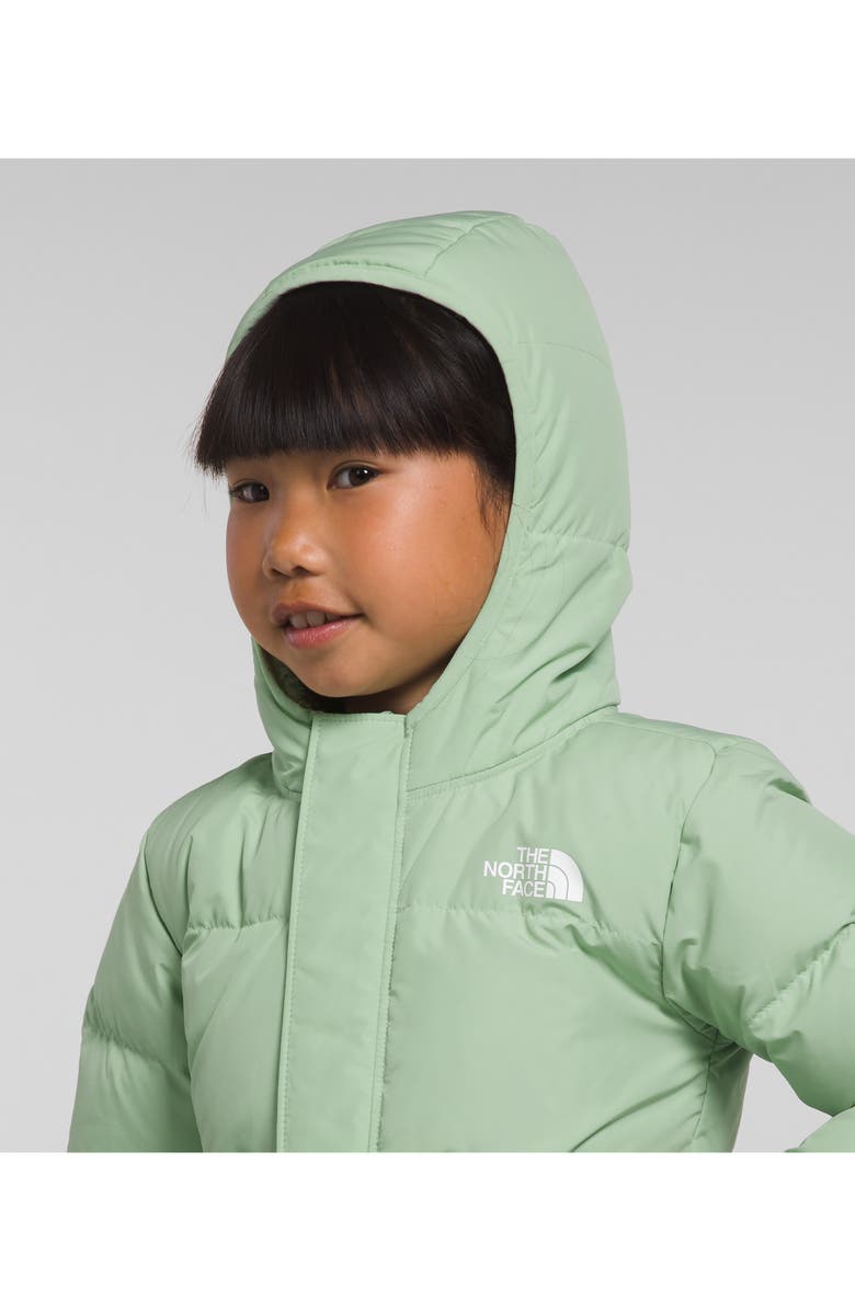 The North Face Kids' North Hooded Water Repellent 600 Fill Power Down Recycled Polyester Jacket, Alternate, color, 