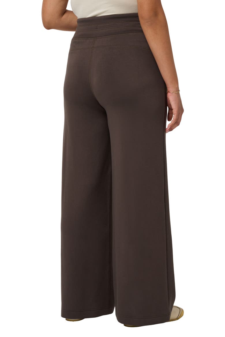 Skyloft Soft Wide Leg Pants, Alternate, color, TURKISH COFFEE