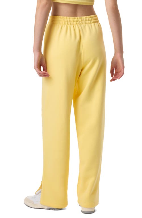 Fila X Hailey Oversize Crinkle Pants In Popcorn