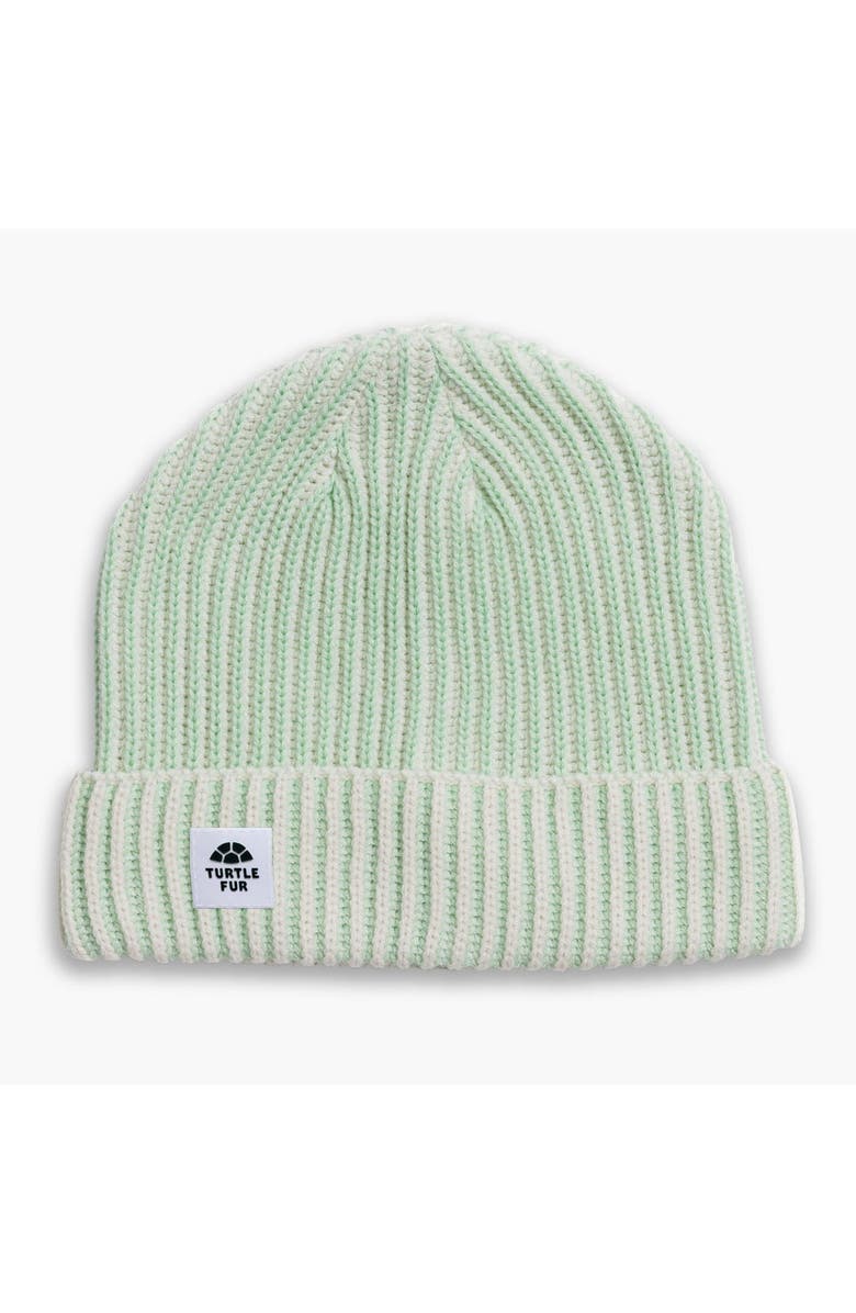 Turtle Fur Sugarshack Watch Cap, Mint, Main, color, Mint
