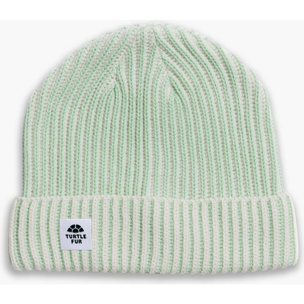Turtle Fur Sugarshack Watch Cap, Mint In Green