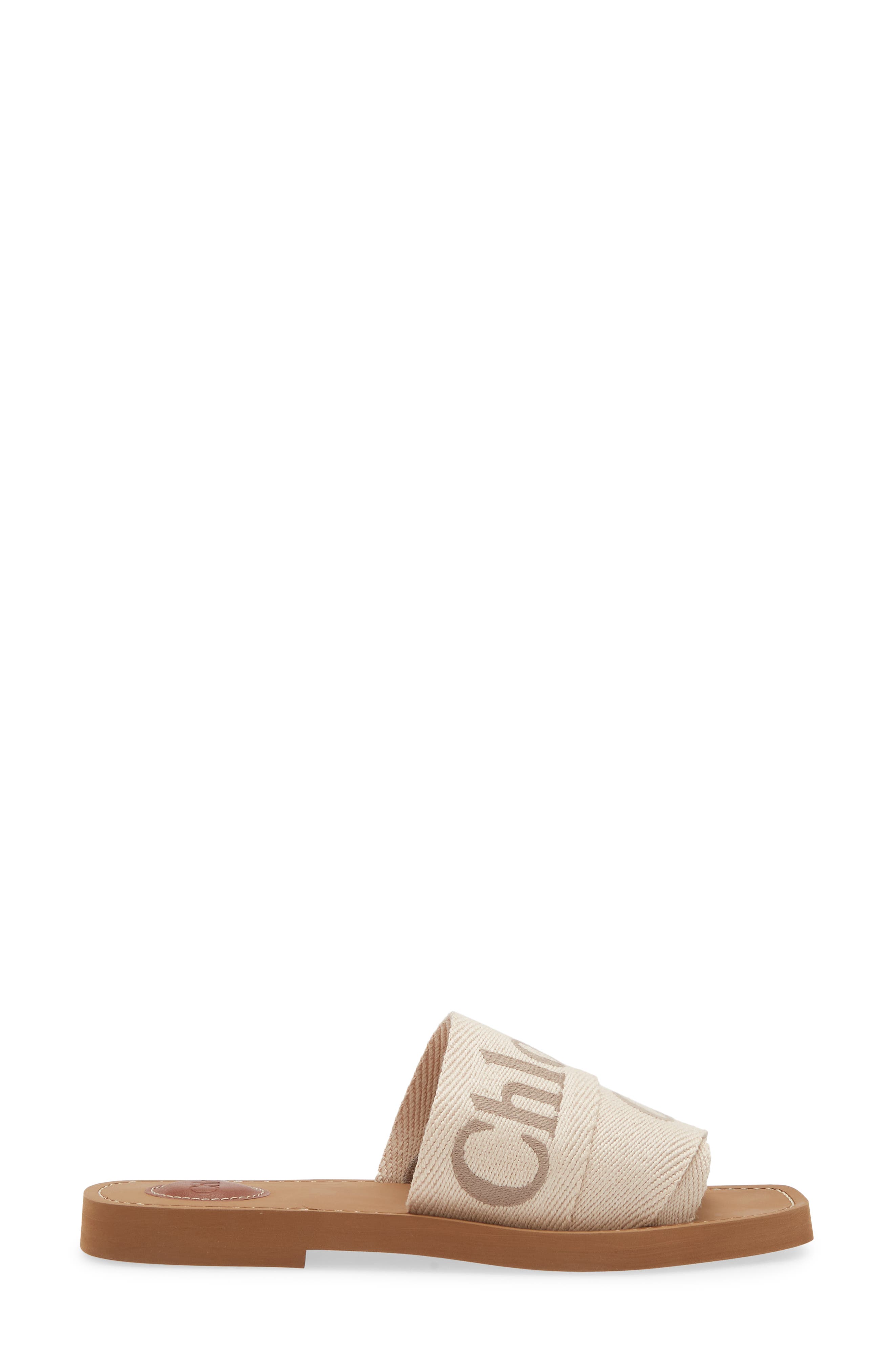 Chloé Woody Slide Sandal, Alternate, color, Blushy Beige