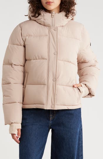 Bcbgeneration Missy Hooded Water Resistant Crop Puffer Jacket In Neutral