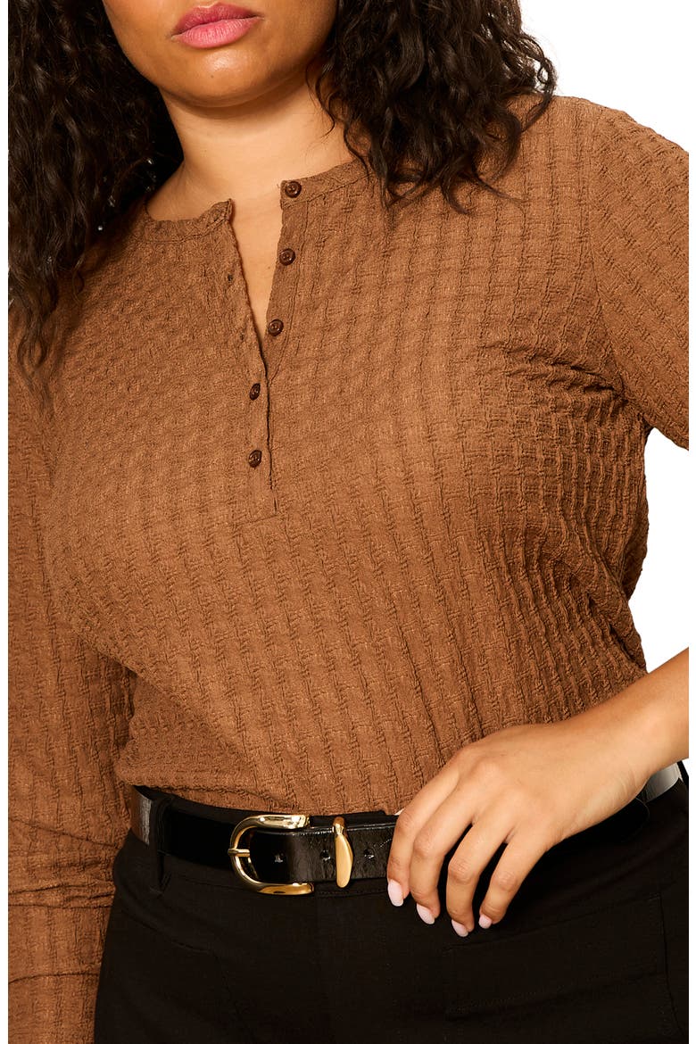 Not So Basic Textured Henley Top, Alternate, color, COCOA POWDER BROWN
