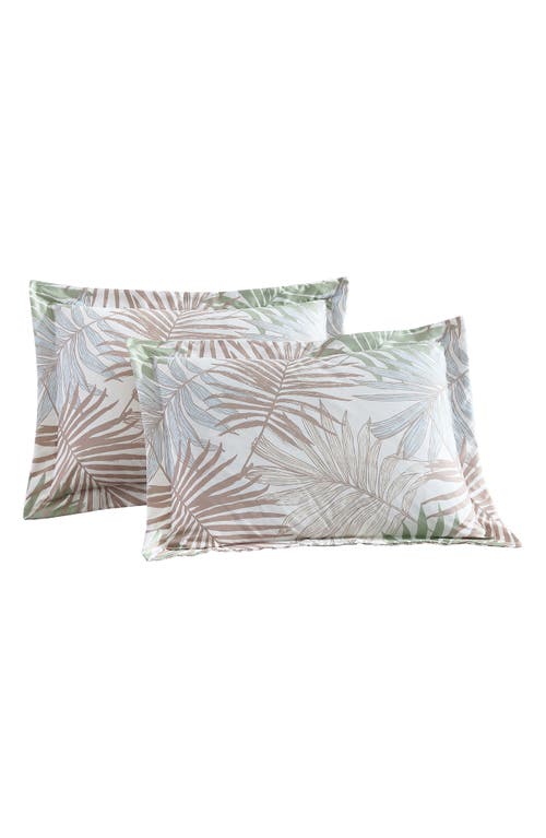 Beatrice Home Fashions Caribbean Joe Comforter & Shams Set