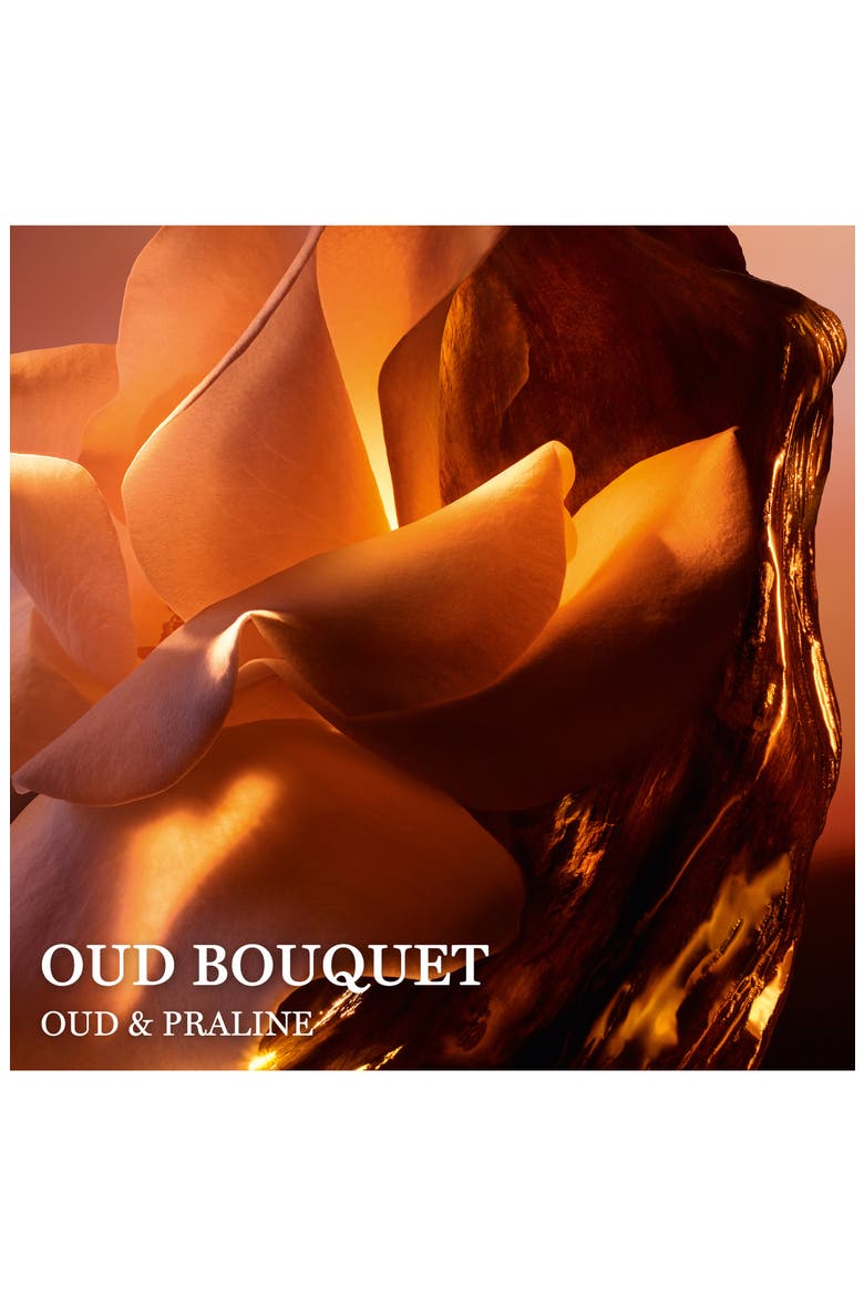 Absolue Oud Bouquet Eau de Parfum, Alternate, color, NO COLOR