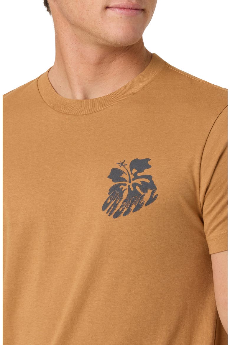 Hibis Classic Cotton Graphic T-Shirt, Alternate, color, WOODSHACK
