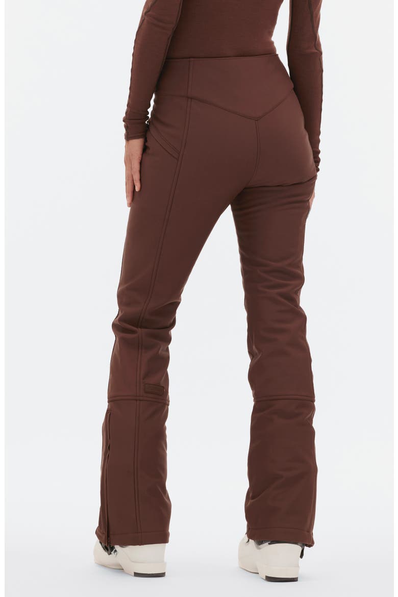 Emma Water Resistant Fleece Lined Ski Pants, Alternate, color, SPIKED COCOA