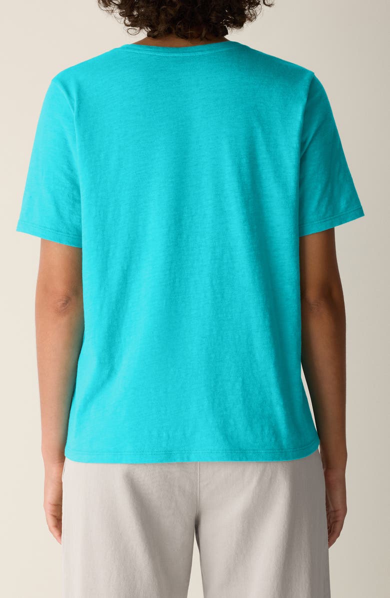 Eileen Fisher Easy V-Neck Organic Cotton T-Shirt, Alternate, color, Aquarius