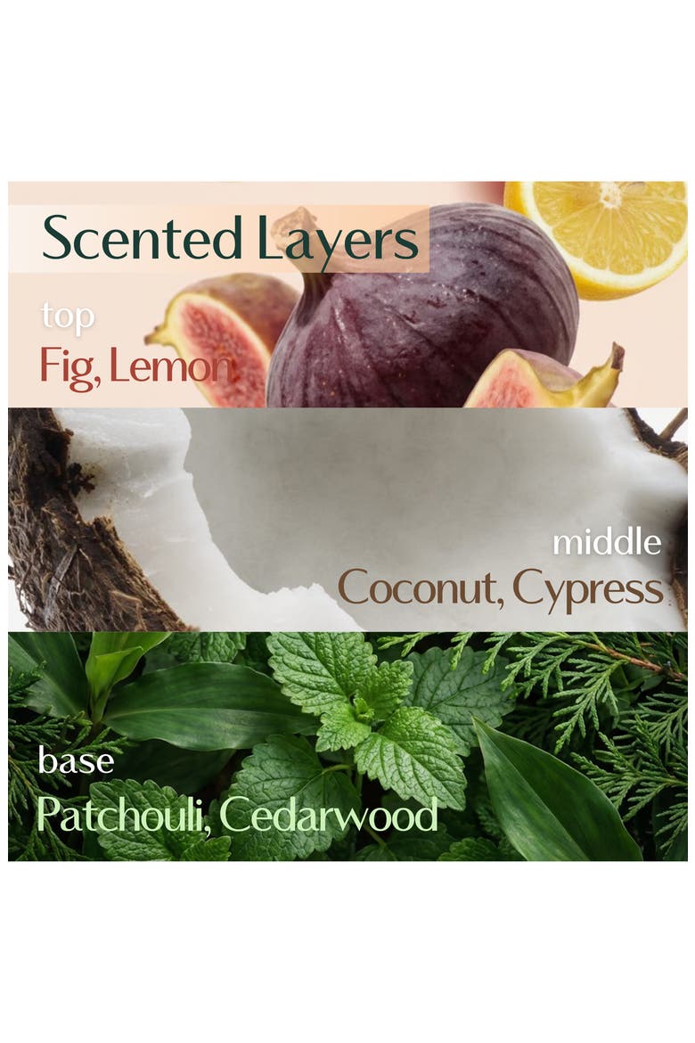 Nearby Body Wash, Alternate, color, DIVE IN FIG