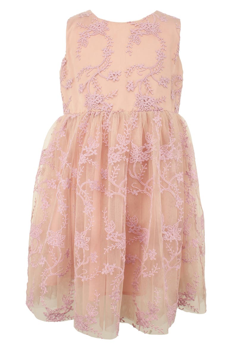 Kids' Embroidered Overlay Tulle Dress, Main, color, BLUSH
