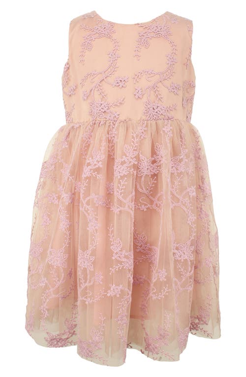 Popatu Kids' Embroidered Overlay Tulle Dress in Blush 