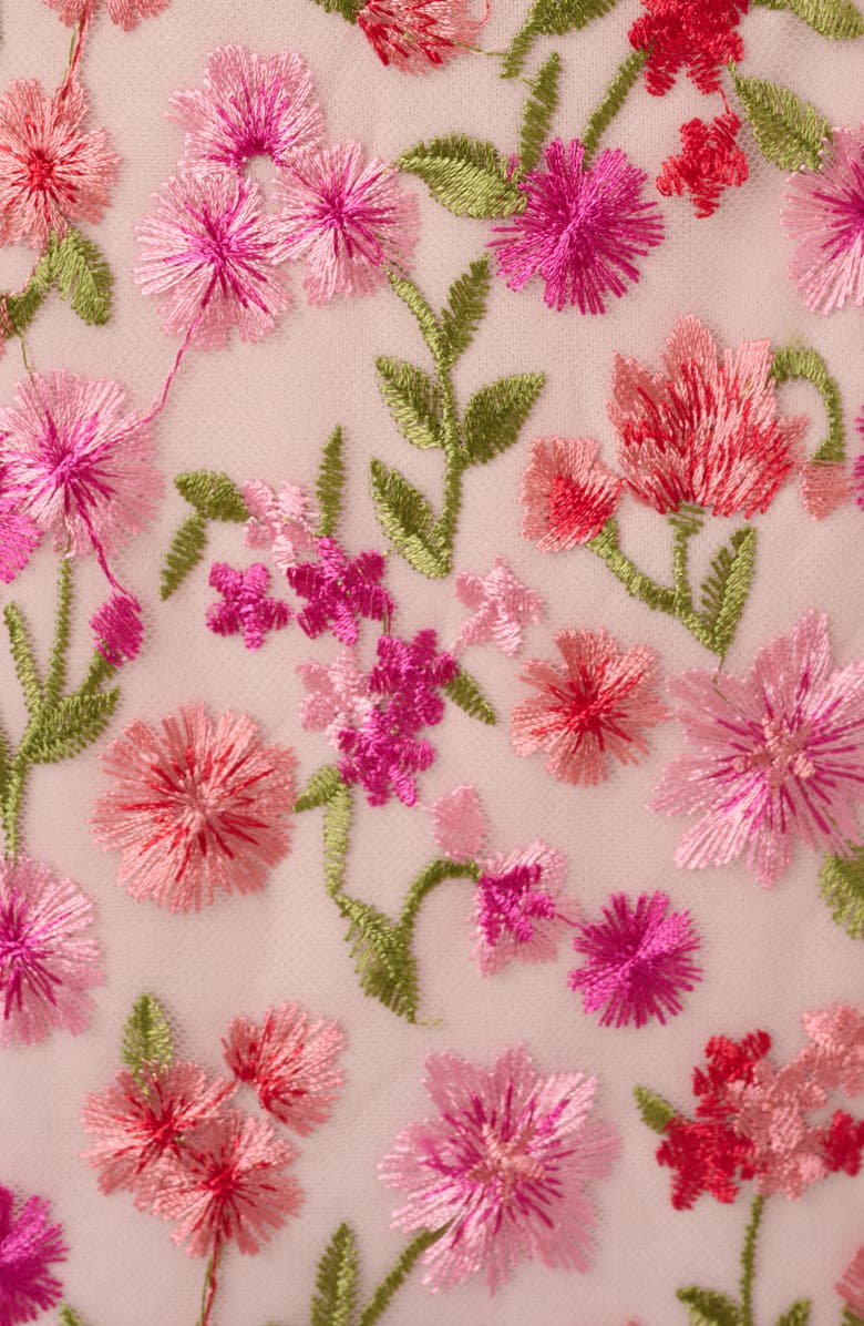 Adrianna Papell Embroidered Floral Dress, Alternate, color, 