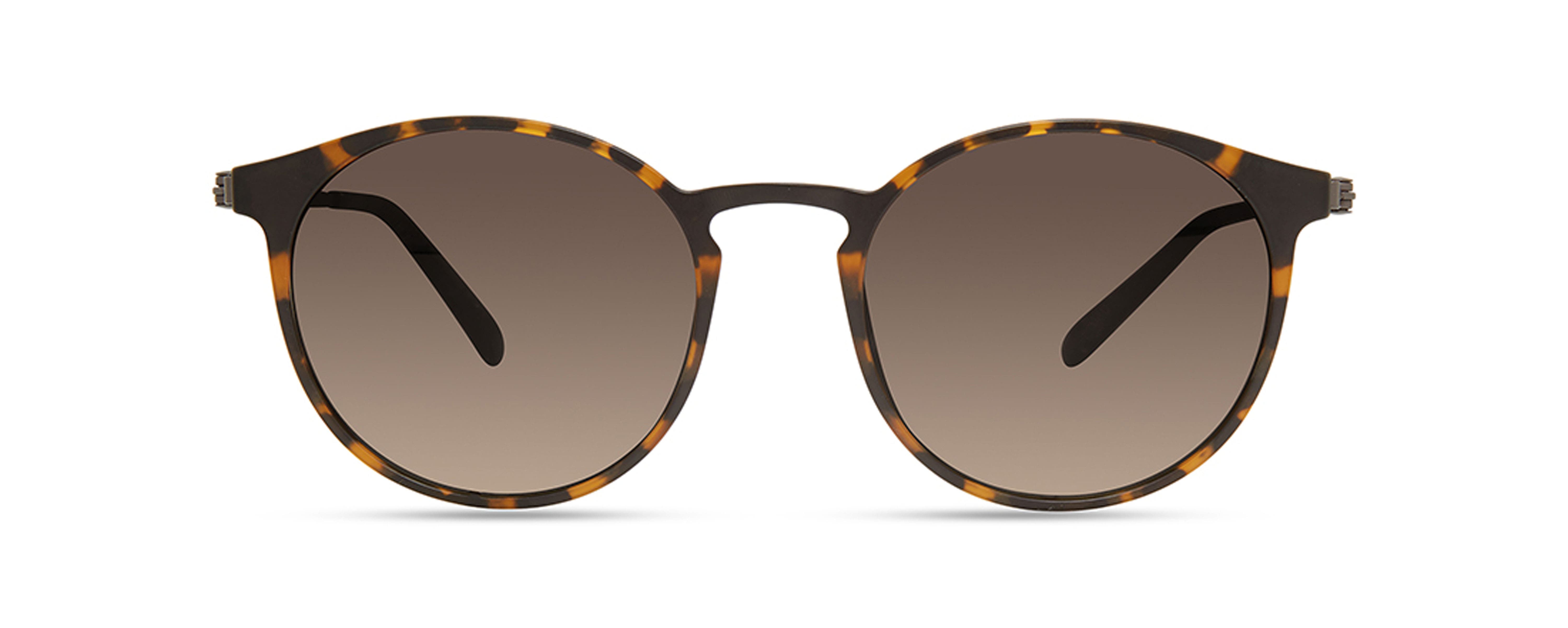 selected Brown Tortoise