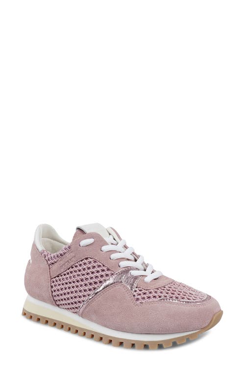 Zigi Porsh Sneaker In Pink