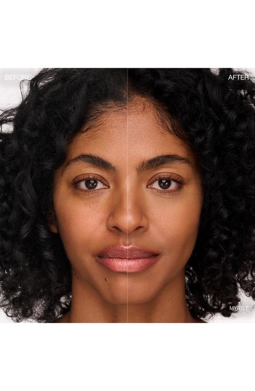 Ogee Complexion Perfecting Concealer In Green