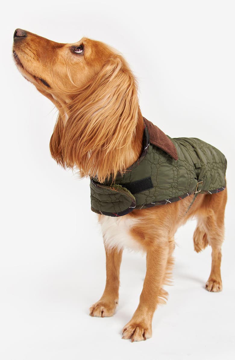 Barbour Bone Quilted Dog Jacket, Alternate, color, 