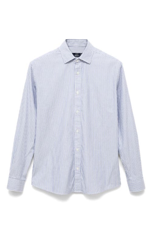 Mango Stripe Cotton Button-up Oxford Shirt In Blue