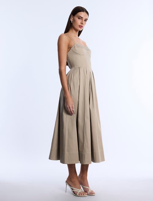 Bcbg Fit And Flare Dress In Neutral