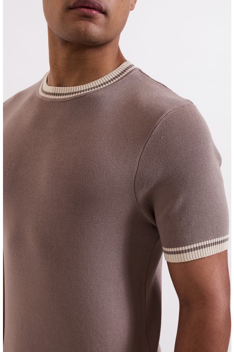 Riccio Slim Knit Tipped Tee, Alternate, color, Medium Beige