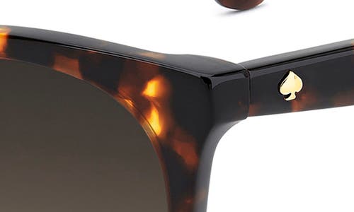 Kate Spade New York Karlee 53mm Gradient Round Sunglasses