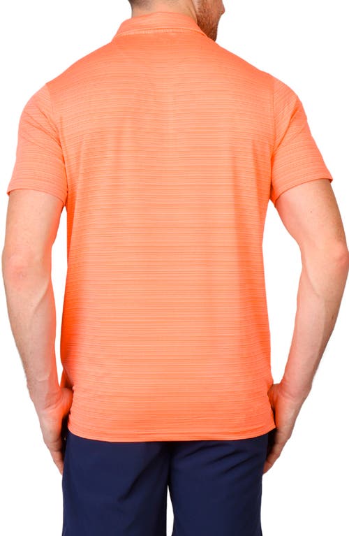 TAILORBYRD TAILORBYRD VARIEGATED STRIPE PERFORMANCE POLO