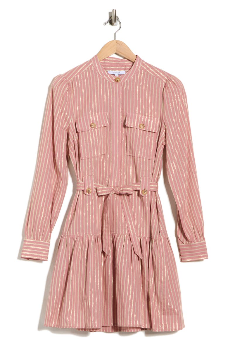 Kayla Utility Mini Shirtdress, Alternate, color, ROSEWOOD/ GOLD