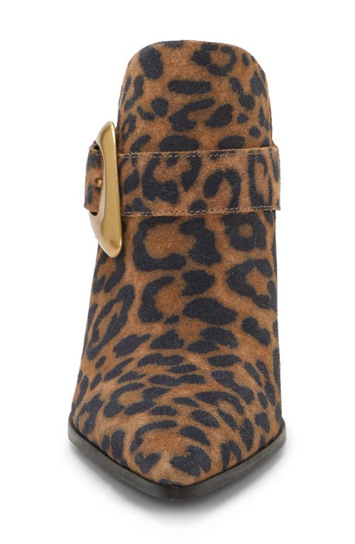 Vince Camuto Bailey Pointed Toe Mule