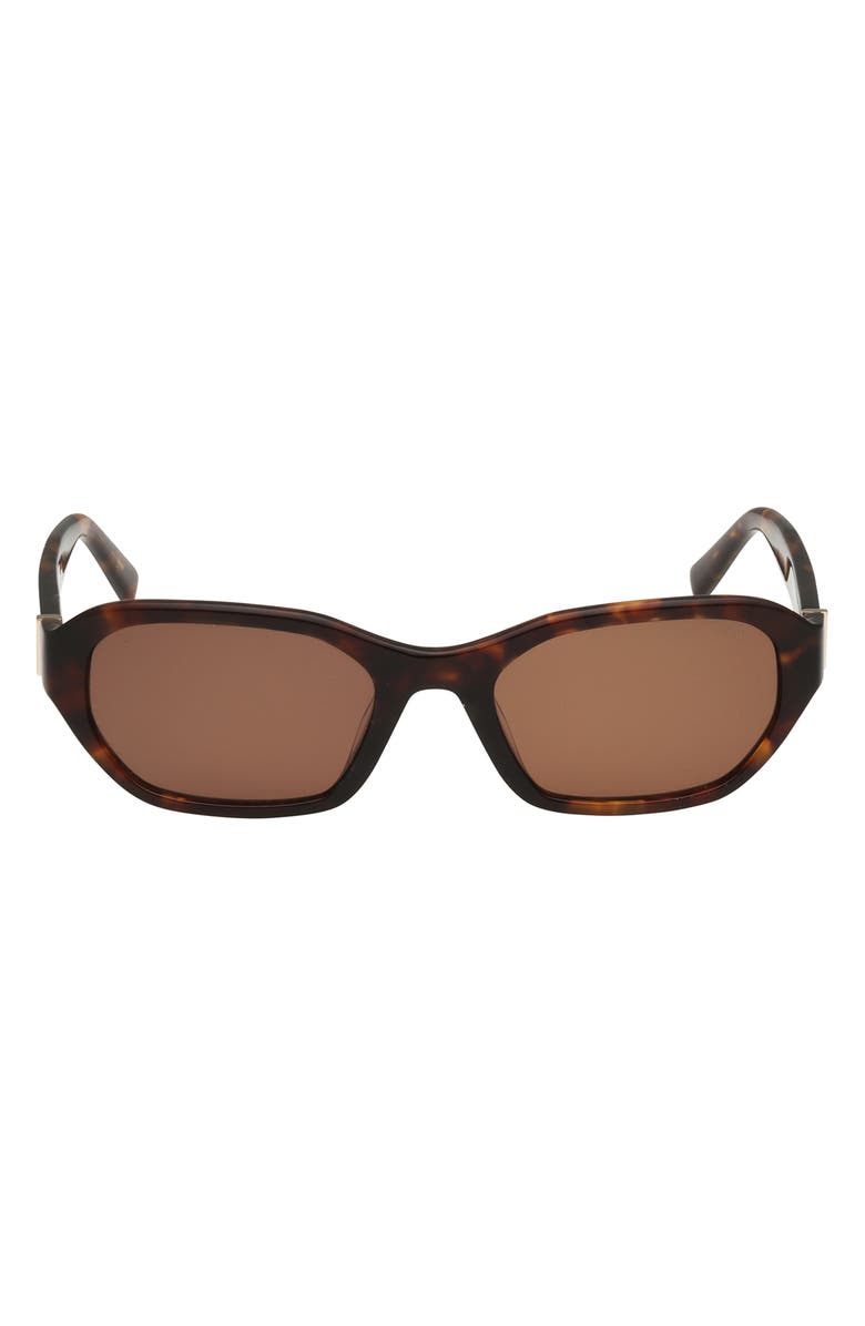 ABERCROMBIE & FITCH 52mm Oval Sunglasses, Main, color, Dark Havana / Brown Lens
