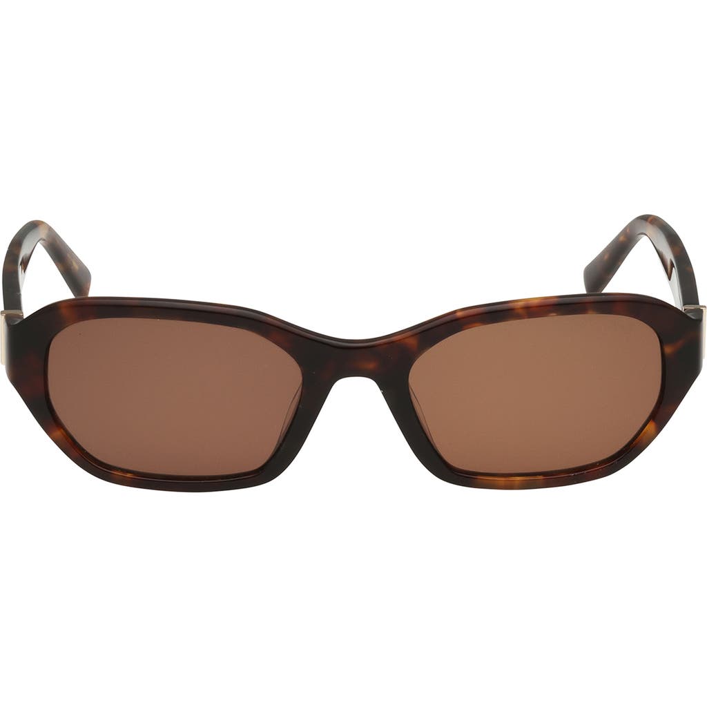 Abercrombie & Fitch 52mm Oval Sunglasses In Brown