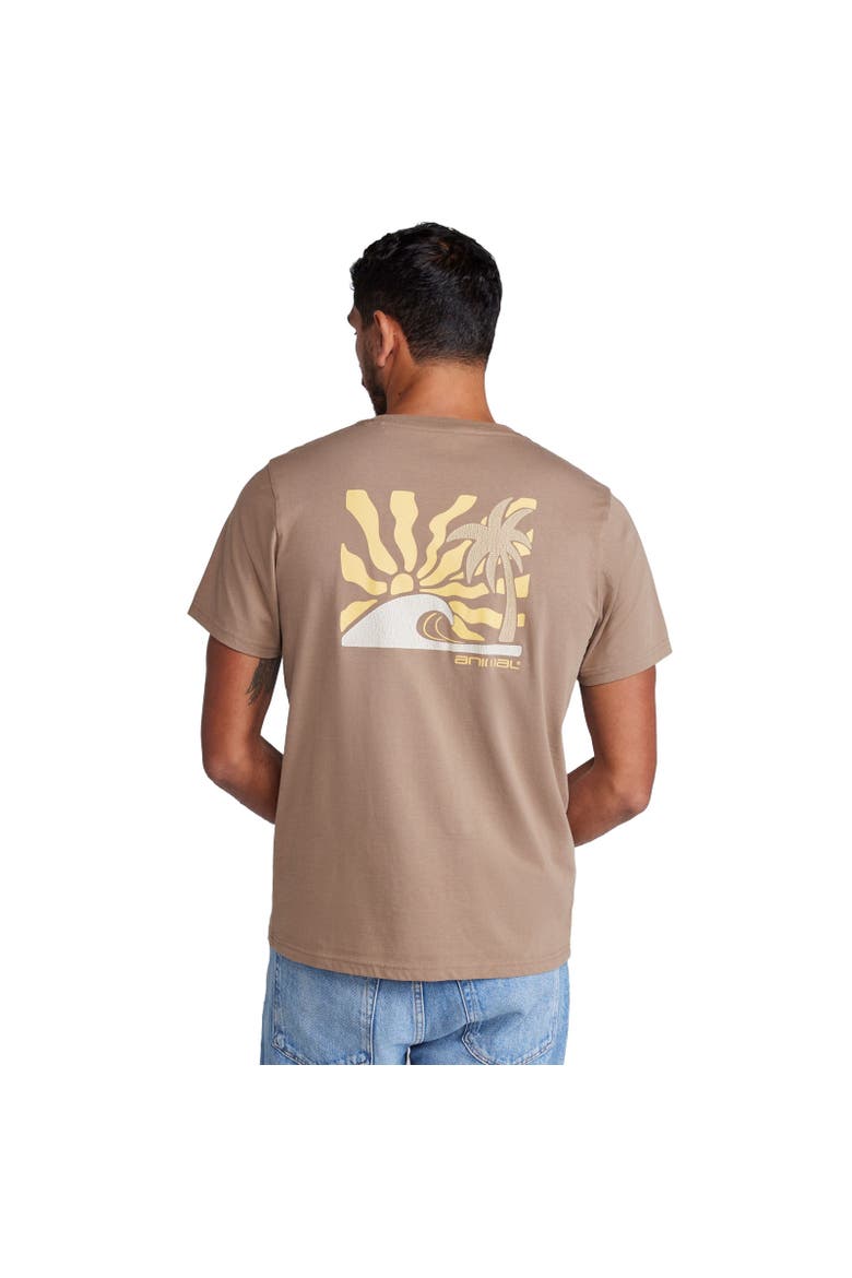 Jacob Sun T-Shirt, Alternate, color, Tan