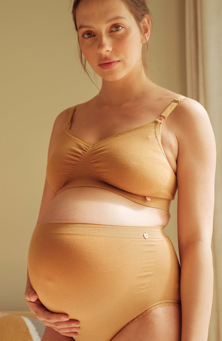 Cache Coeur High Waist Maternity Briefs, Alternate, color, Cumin