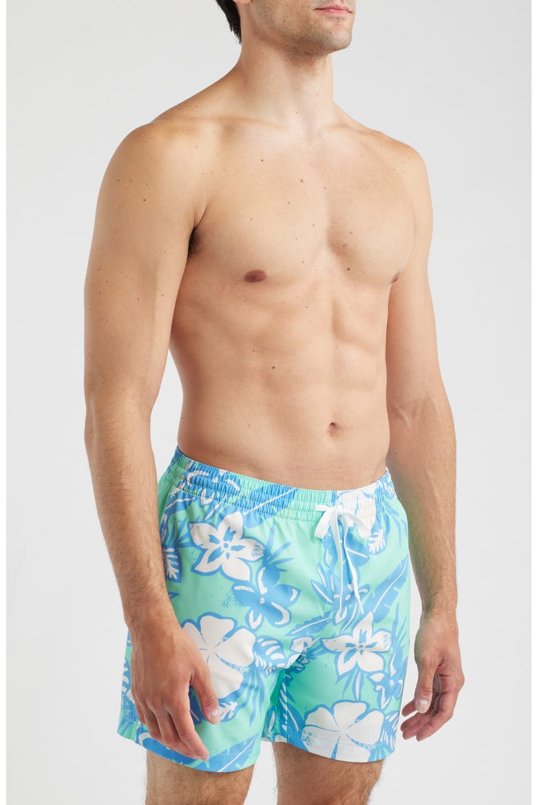 The Baja Breezies 5.5 Classic Lined Swim Trunks, Alternate, color, TEAL - PATTERN BASED
