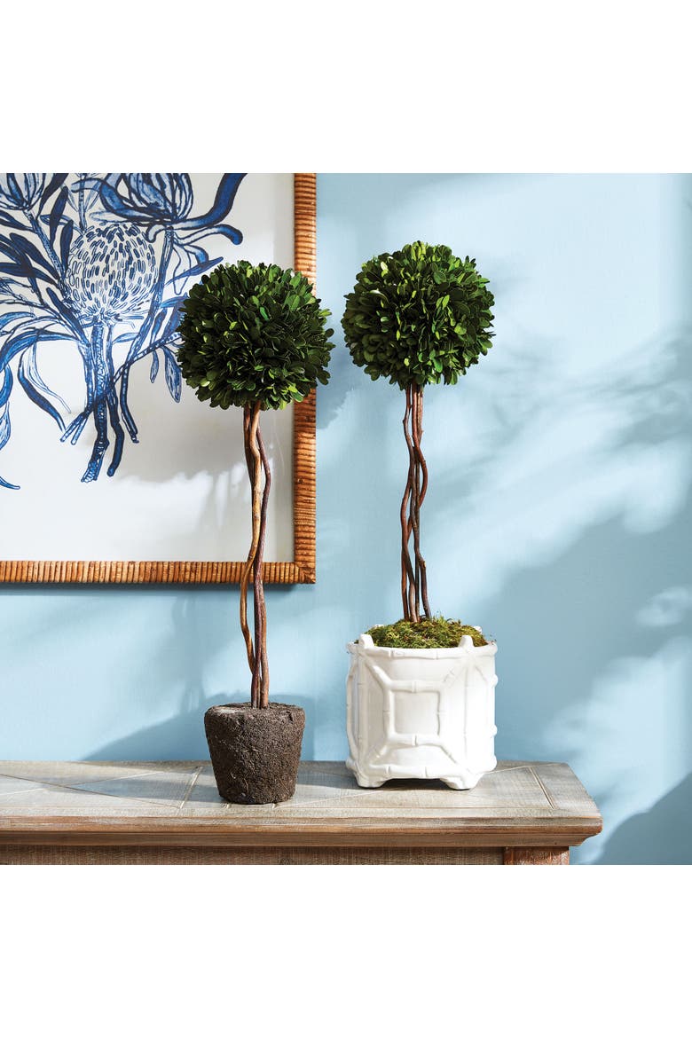 Boxwood Single Sphere Topiary Drop-In 24", Alternate, color, Green