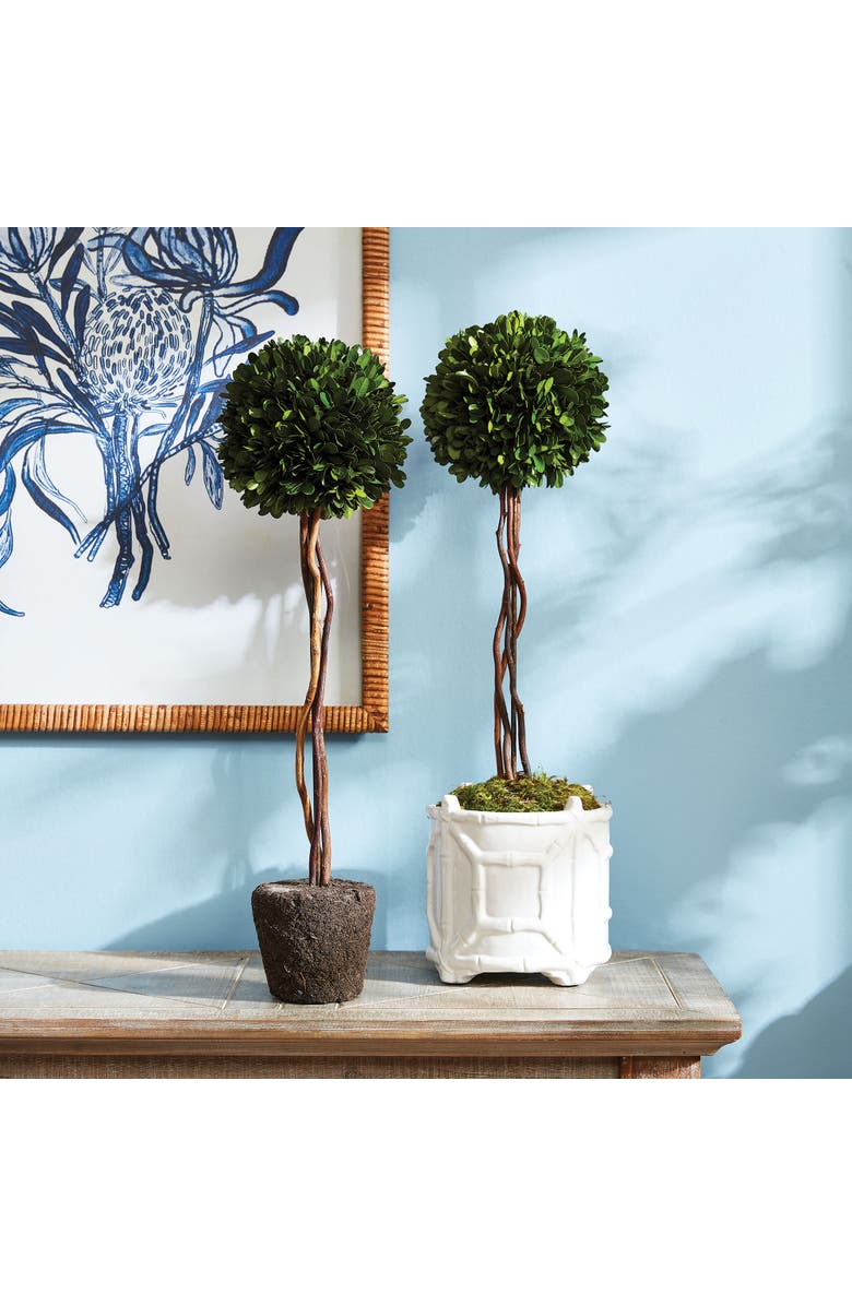 Napa Home & Garden Boxwood Single Sphere Topiary Drop-In 24", Alternate, color, Green