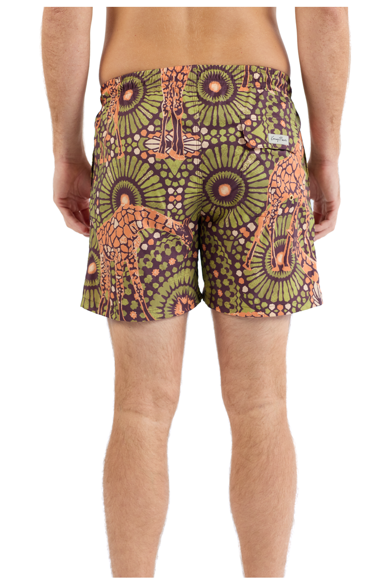 Kenny Flowers The Africa - Swim Trunks, Alternate, color, Brown