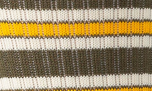 Stance Ollie Stripe Crew Socks In Brown