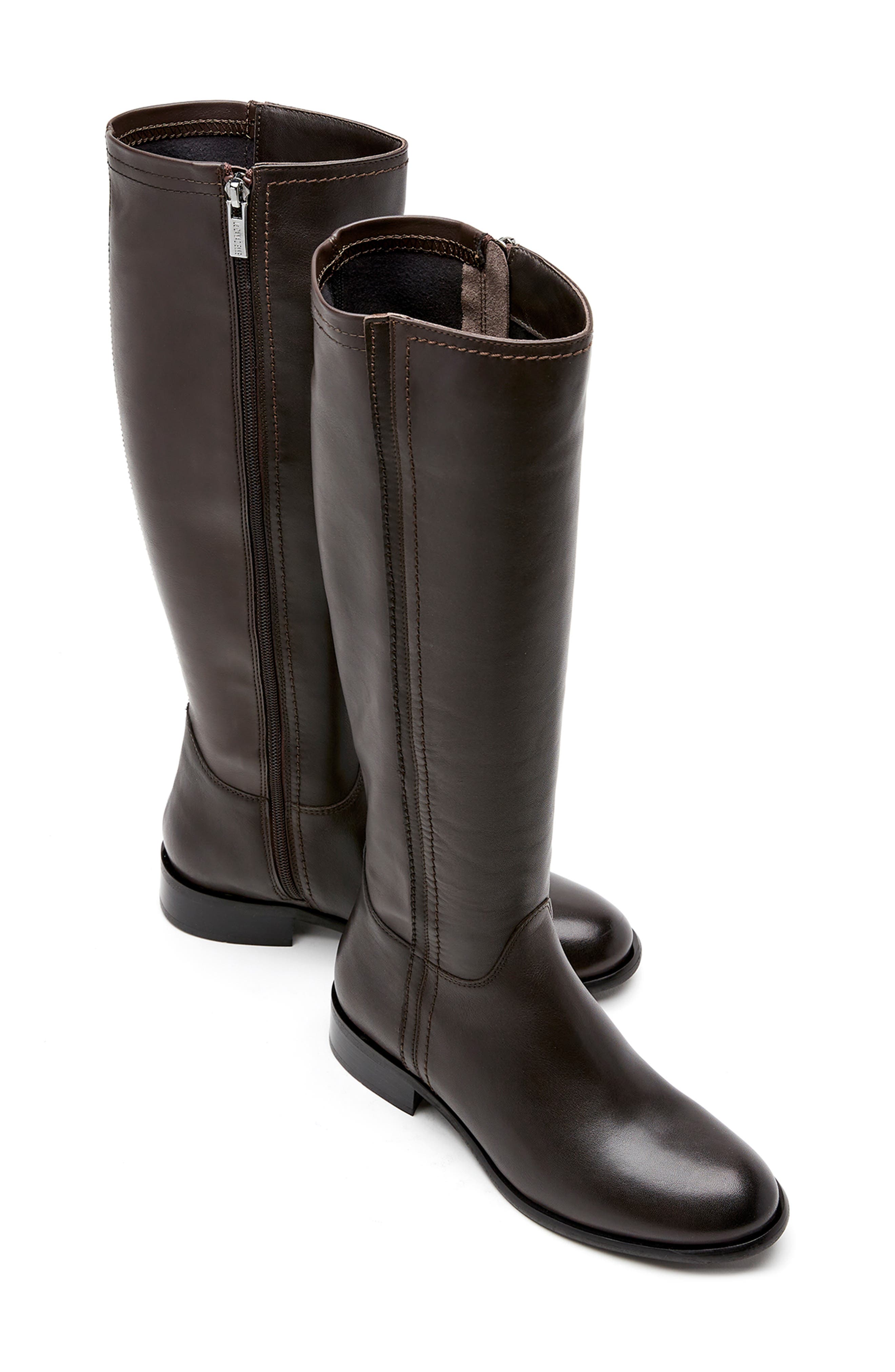 La Canadienne Amir Waterproof Tall Boot, Alternate, color, Brown