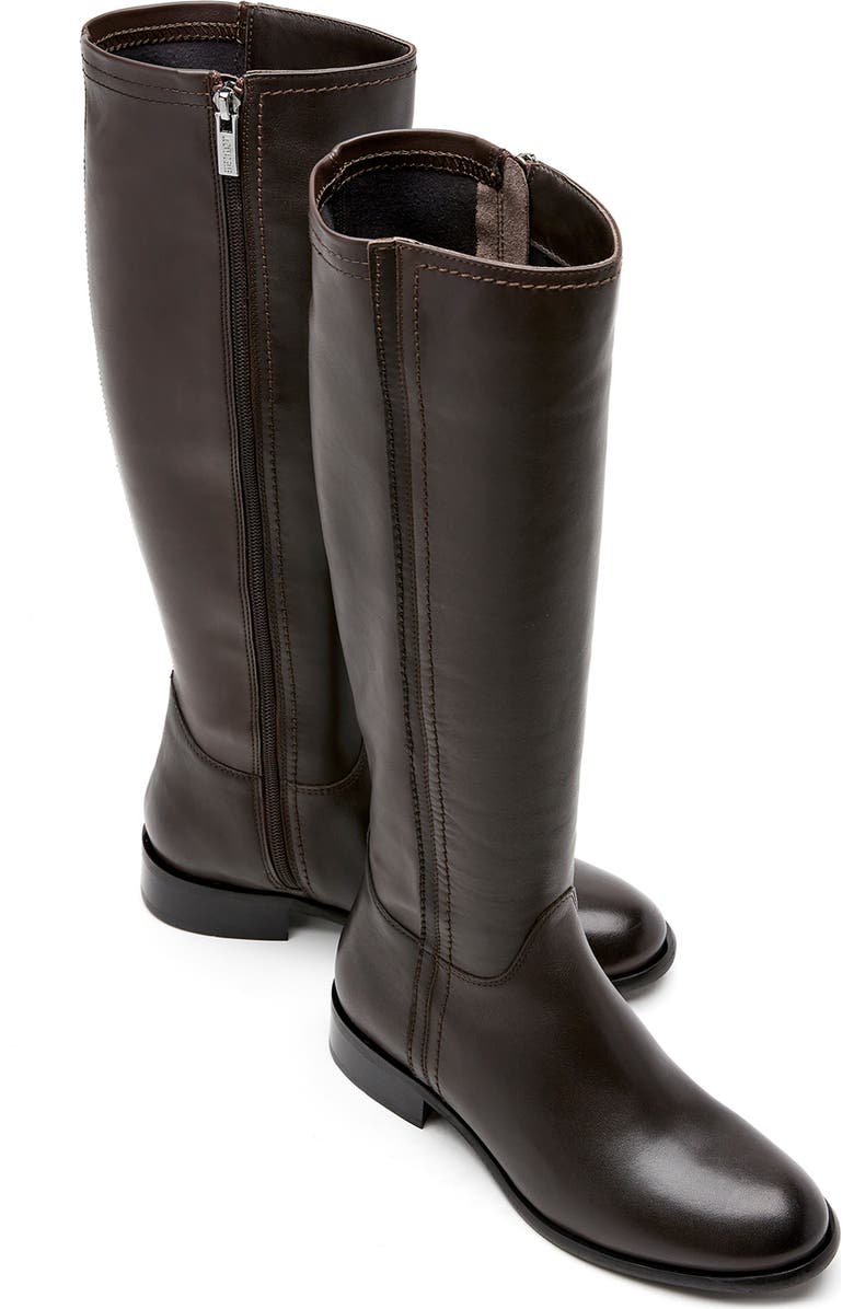 La Canadienne Amir Waterproof Tall Boot, Alternate, color, Brown