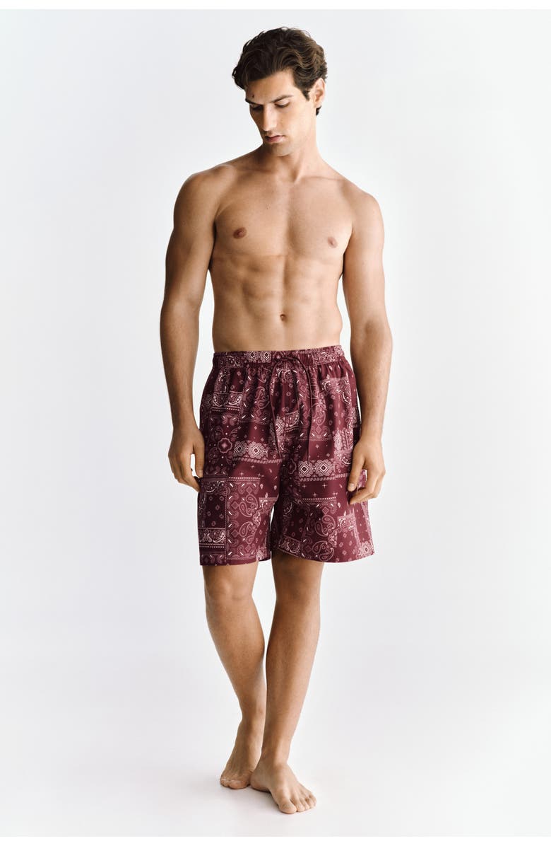 H&M Patterned Swim Shorts, Alternate, color, Dusty Red/Paisley