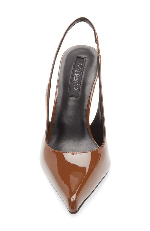 Tony Bianco Slingback Pointed Toe Pump In Brown