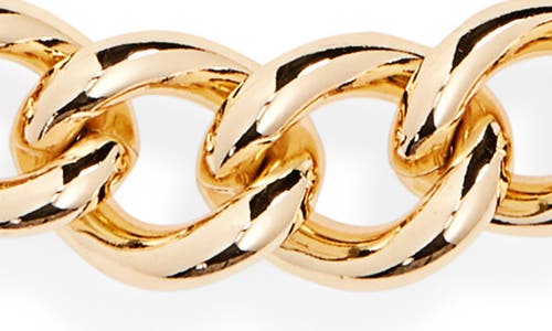 Roxanne Assoulin The Graduated Link Necklace In Gold