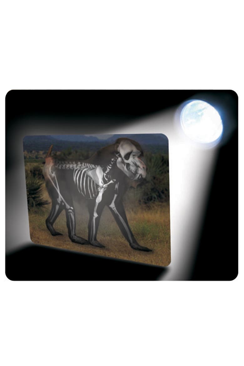 What's Inside Animals?, Alternate, color, Multicolor