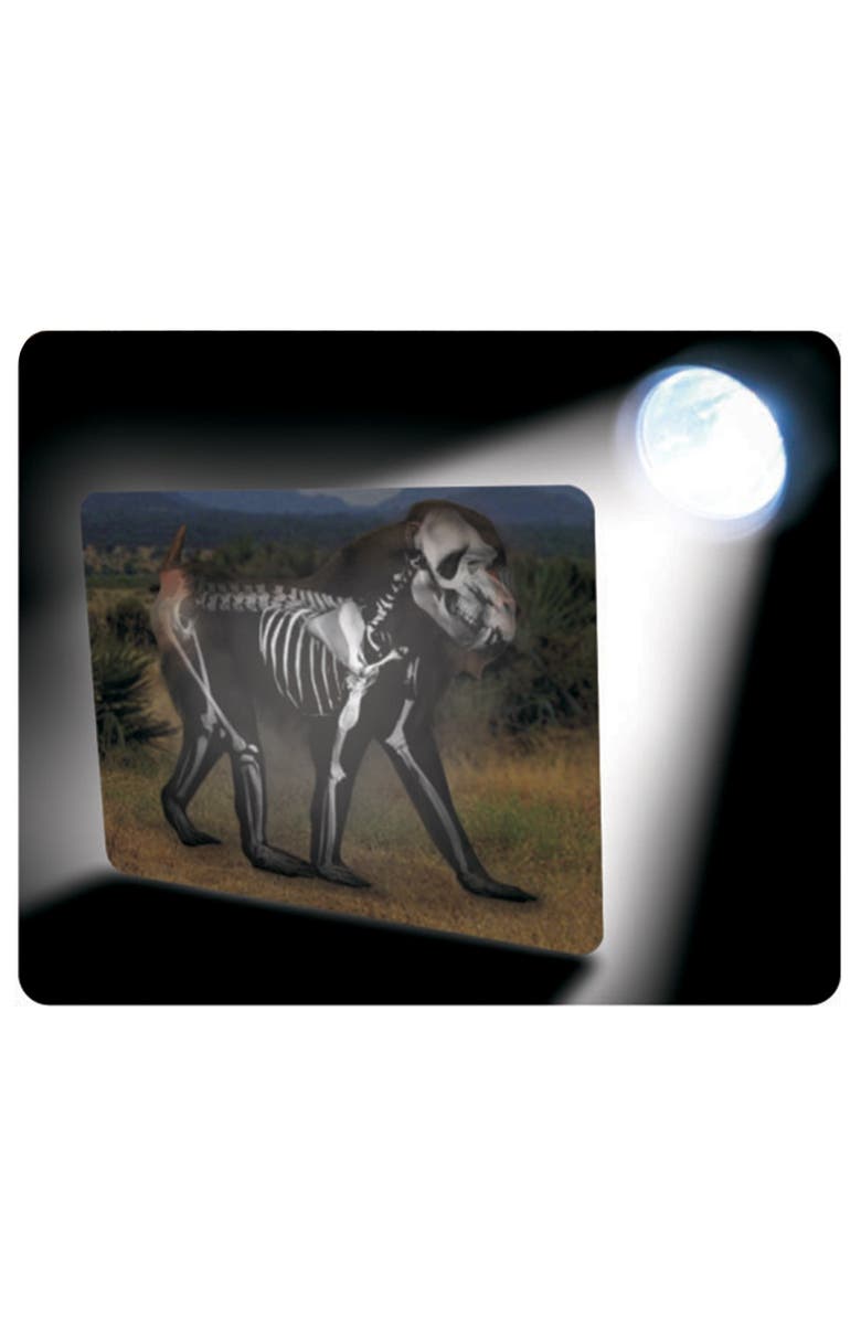 Roylco What
s Inside Animals?, Alternate, color, Multicolor