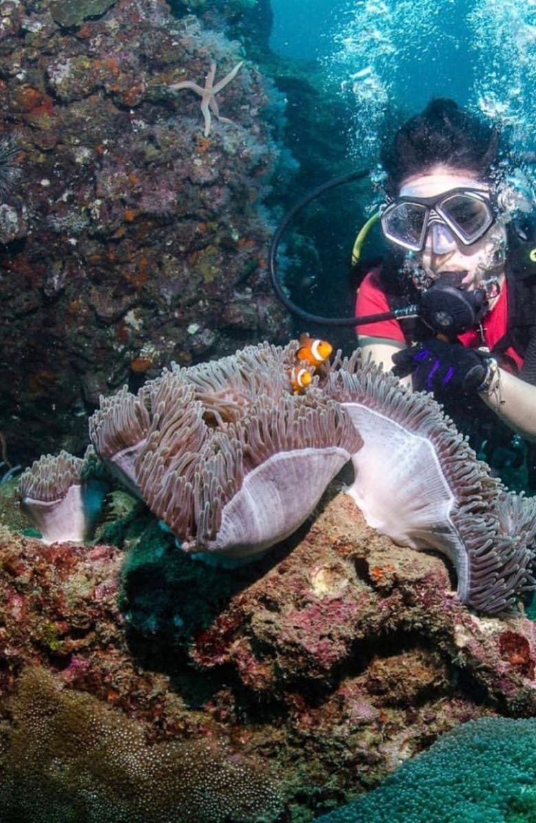 Samantha Siu - New York Under the Sea Necklace, Alternate, color, Abalone Shell