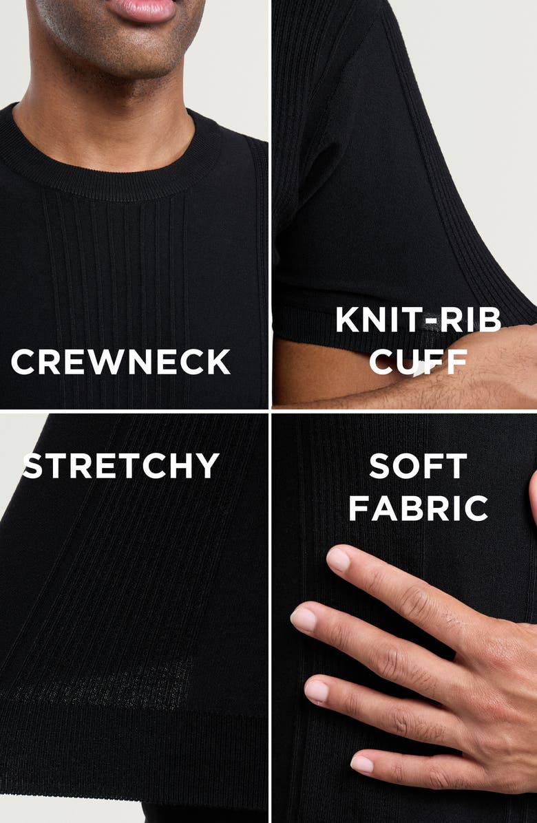 XRAY Stripe Short Sleeve Sweater, Alternate, color, Black