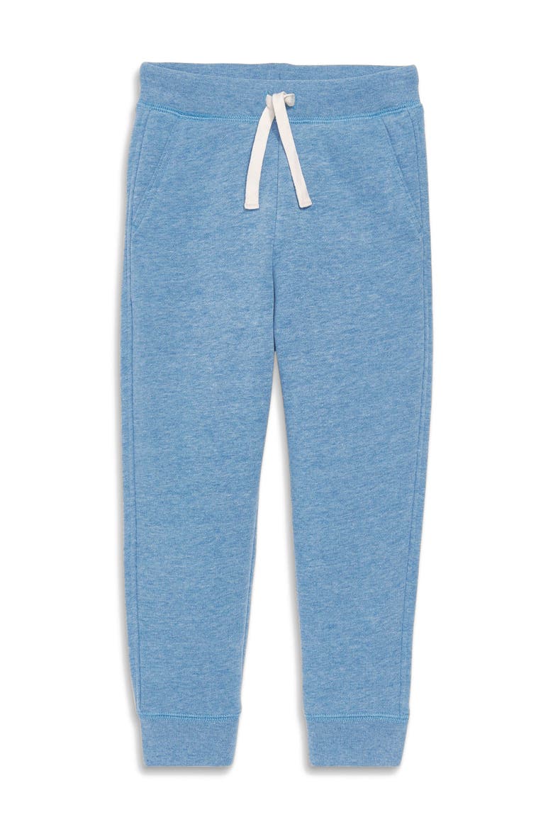 Cozy Fleece Jogger, Main, color, Heather Vintage Blue