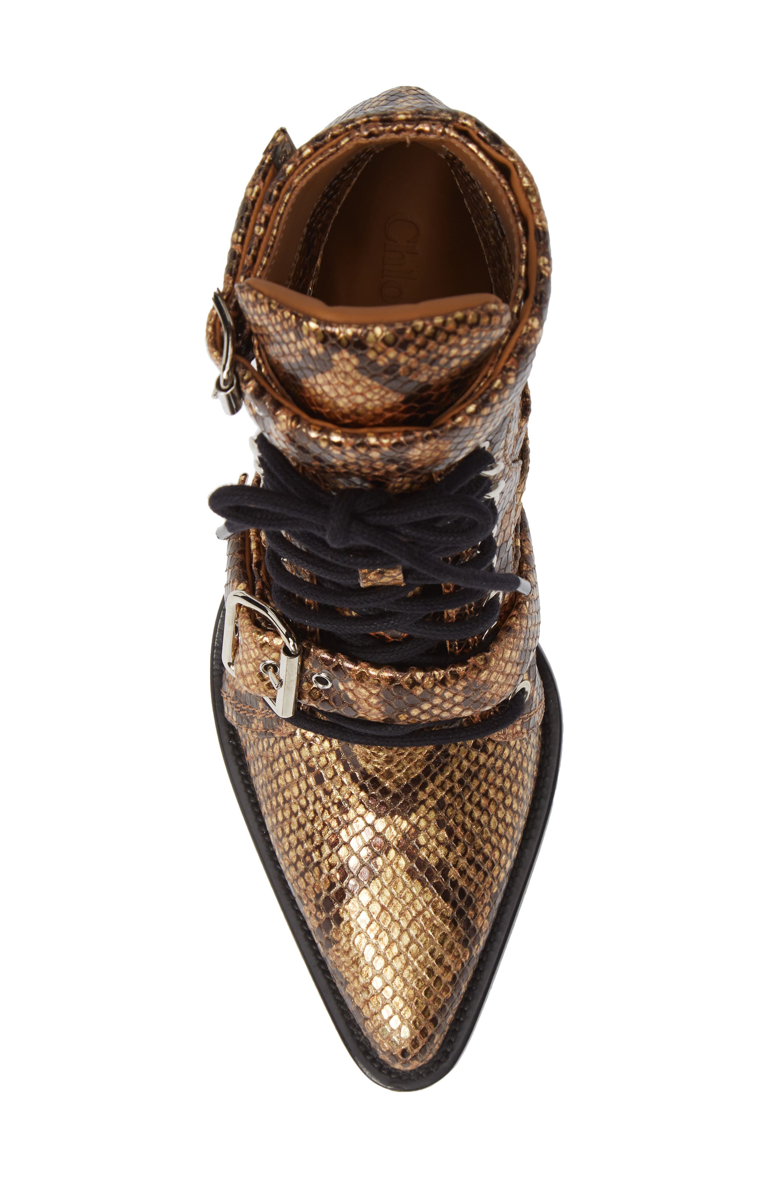 Chloé Rylee Pointy Toe Cage Boot, Alternate, color, 