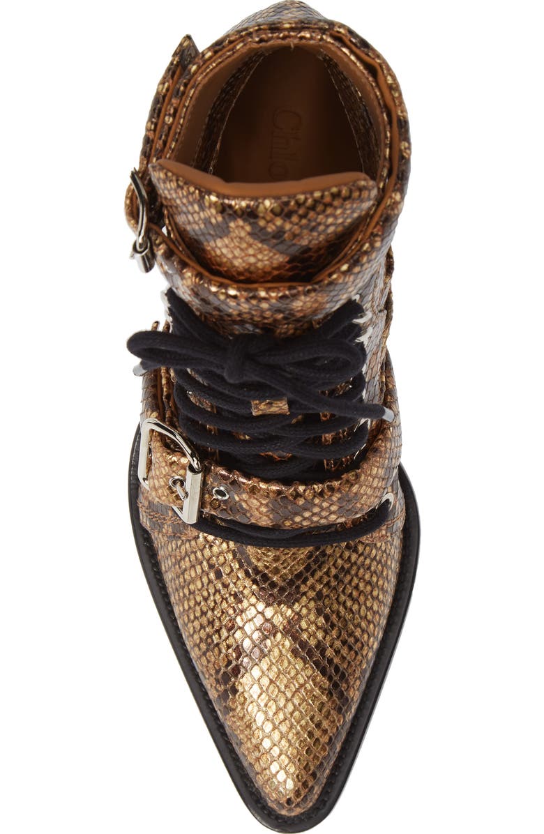 Chloé Rylee Pointy Toe Cage Boot, Alternate, color,